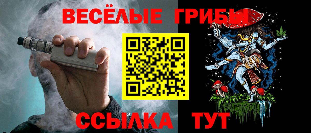 Галлюциногенные грибы Cubensis Серпухов